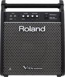 ROLAND PERSONAL MONITOR PM-100 - PickersAlley