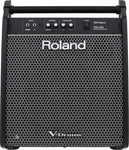 ROLAND PERSONAL MONITOR PM-200 - PickersAlley