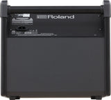 ROLAND PERSONAL MONITOR PM-100 - PickersAlley