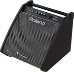 ROLAND PERSONAL MONITOR PM-200 - PickersAlley
